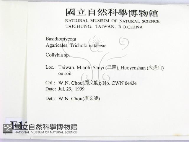 登錄號:F0013359藏品圖，第2張