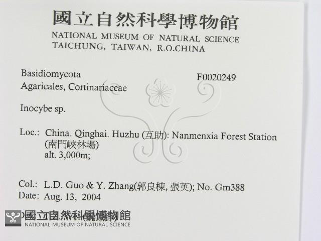 登錄號:F0020249藏品圖，第2張