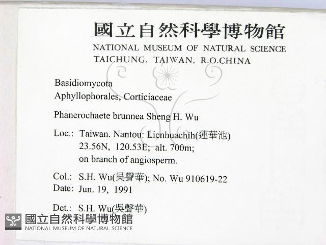 登錄號:F0000249藏品圖，第2張