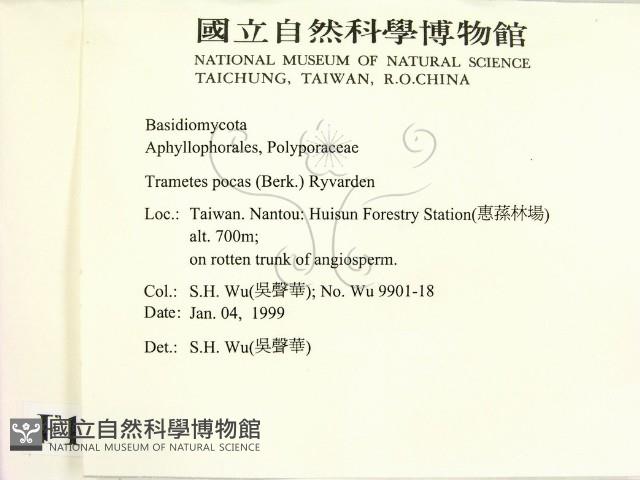 登錄號:F0010249藏品圖，第2張