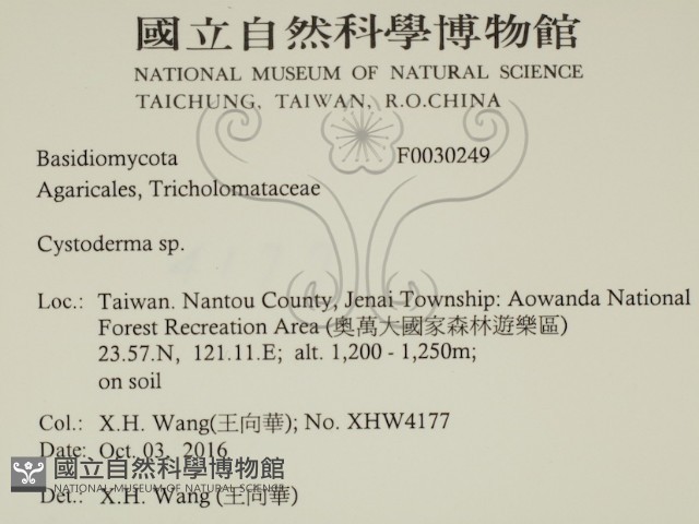 登錄號:F0030249藏品圖，第2張