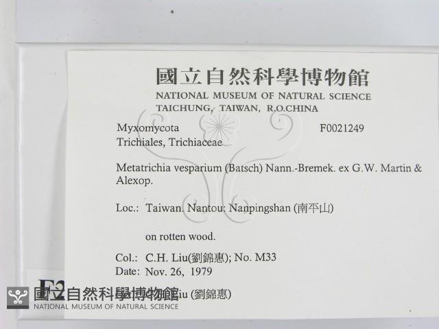 登錄號:F0021249藏品圖，第2張