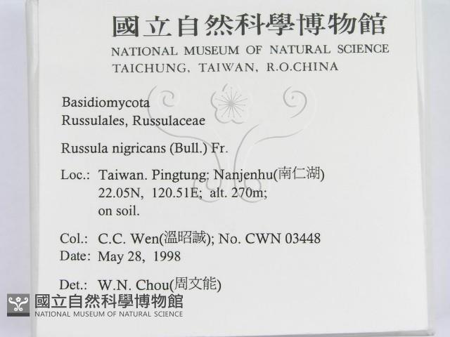 登錄號:F0011249藏品圖，第2張