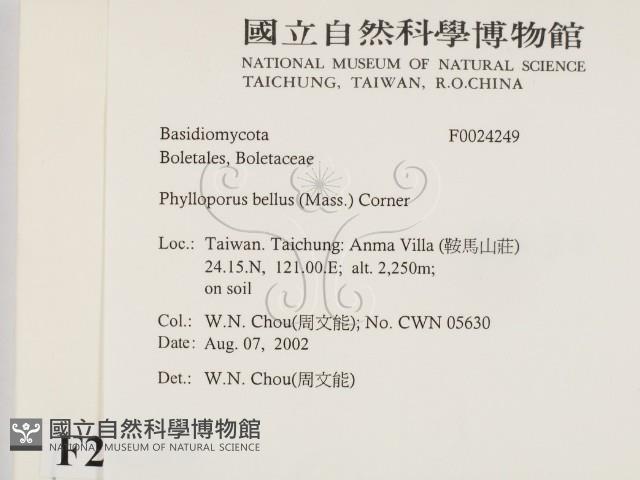 登錄號:F0024249藏品圖，第2張