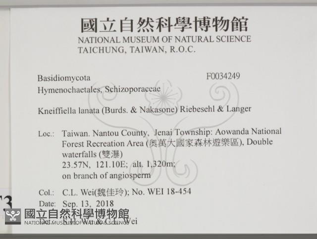 登錄號:F0034249藏品圖，第2張