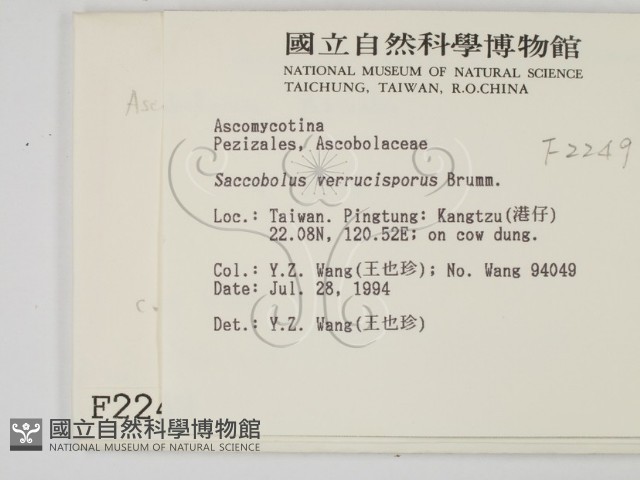 登錄號:F0002249藏品圖，第2張