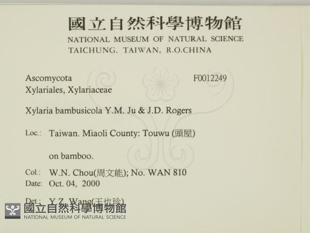 登錄號:F0012249藏品圖，第2張