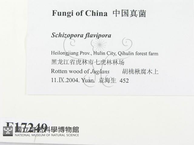 登錄號:F0017249藏品圖，第2張