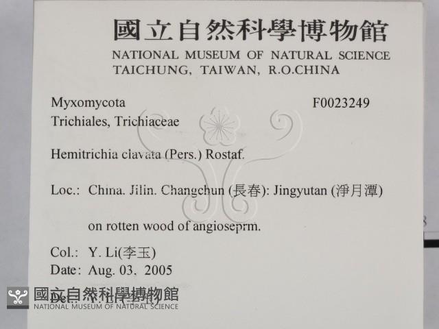 登錄號:F0023249藏品圖，第2張