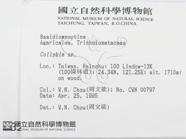 登錄號:F0003249藏品圖，第2張