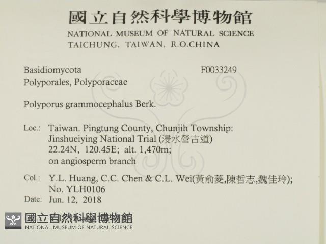 登錄號:F0033249藏品圖，第2張