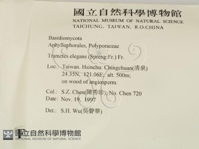 登錄號:F0008849藏品圖，第2張