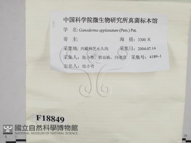 登錄號:F0018849藏品圖，第2張