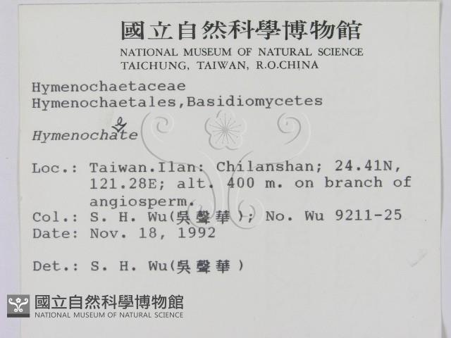 刺革菌屬藏品圖，第2張