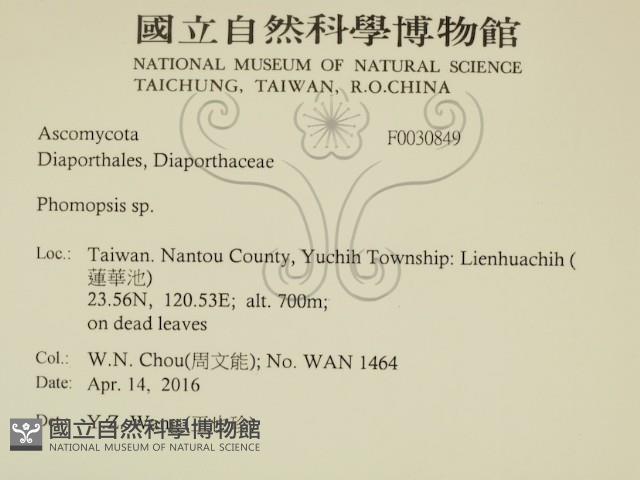 登錄號:F0030849藏品圖，第2張