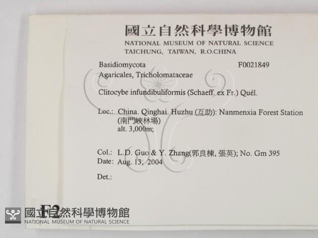 登錄號:F0021849藏品圖，第2張