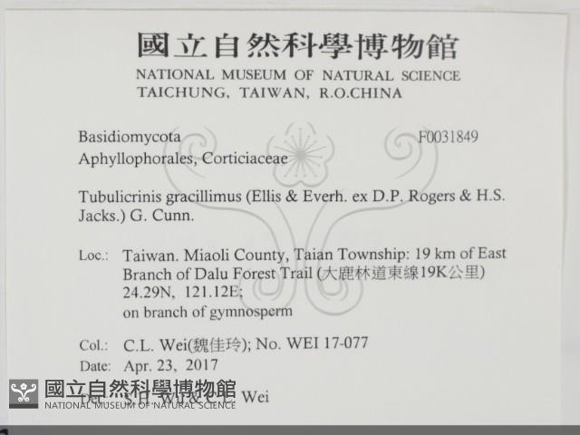 登錄號:F0031849藏品圖，第2張