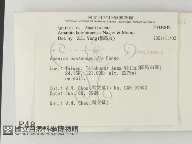 登錄號:F0004849藏品圖，第2張