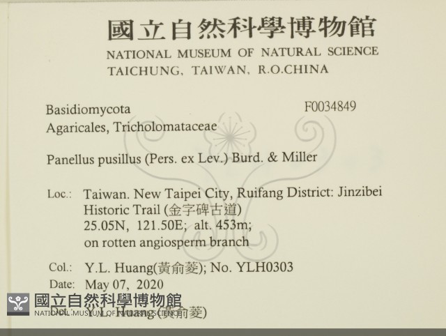 登錄號:F0034849藏品圖，第2張