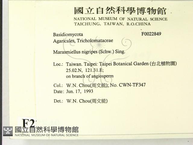 登錄號:F0022849藏品圖，第2張