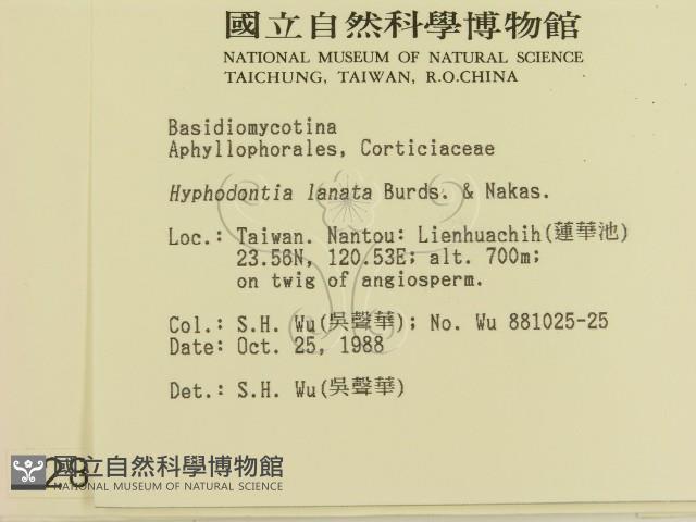 登錄號:F0002849藏品圖，第2張