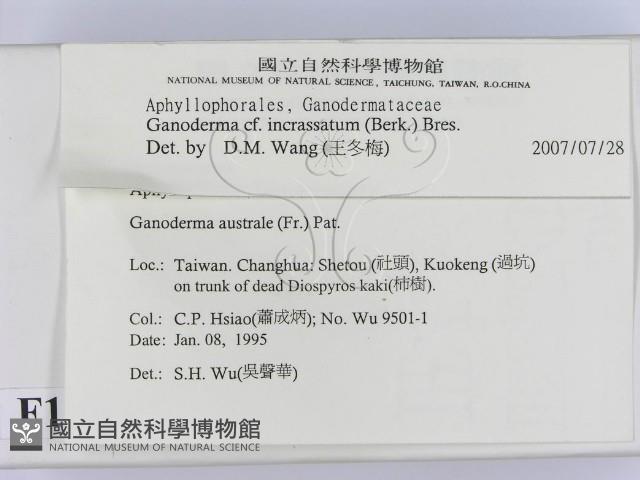 登錄號:F0012849藏品圖，第2張