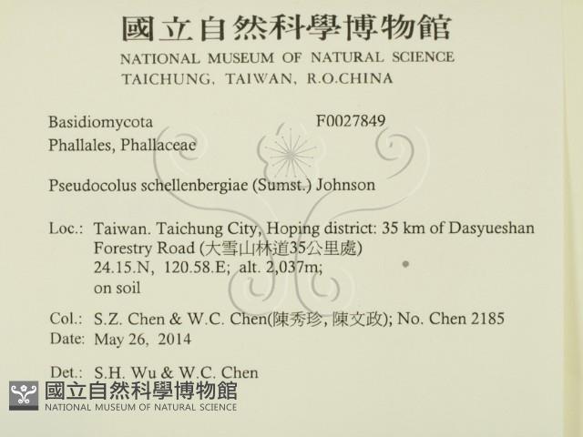 登錄號:F0027849藏品圖，第2張