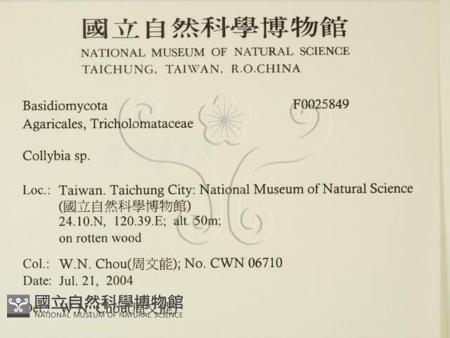 登錄號:F0025849藏品圖，第2張