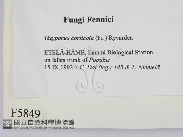 登錄號:F0005849藏品圖，第2張