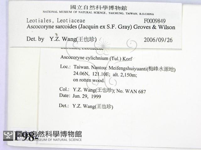 登錄號:F0009849藏品圖，第2張