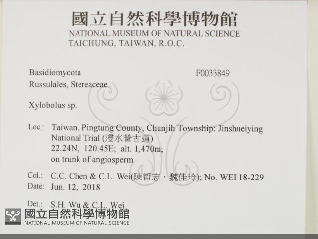 登錄號:F0033849藏品圖，第2張