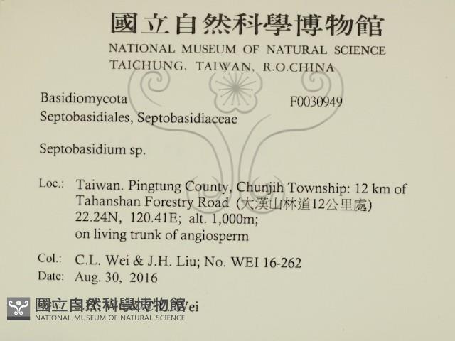 登錄號:F0030949藏品圖，第2張