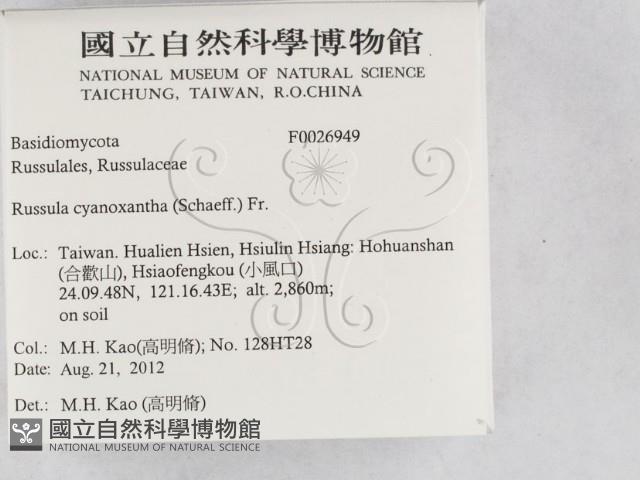 登錄號:F0026949藏品圖，第2張
