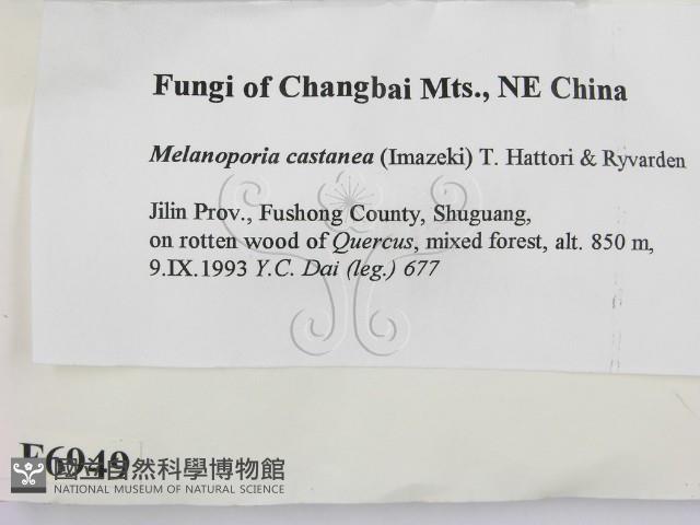 登錄號:F0006949藏品圖，第2張