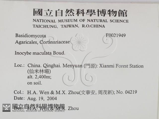 登錄號:F0021949藏品圖，第2張