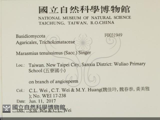 登錄號:F0031949藏品圖，第2張