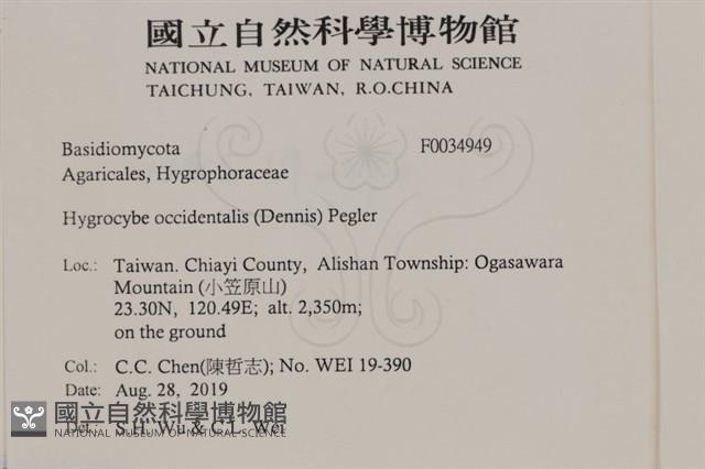登錄號:F0034949藏品圖，第2張