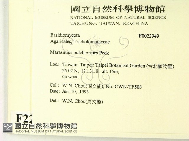 登錄號:F0022949藏品圖，第2張