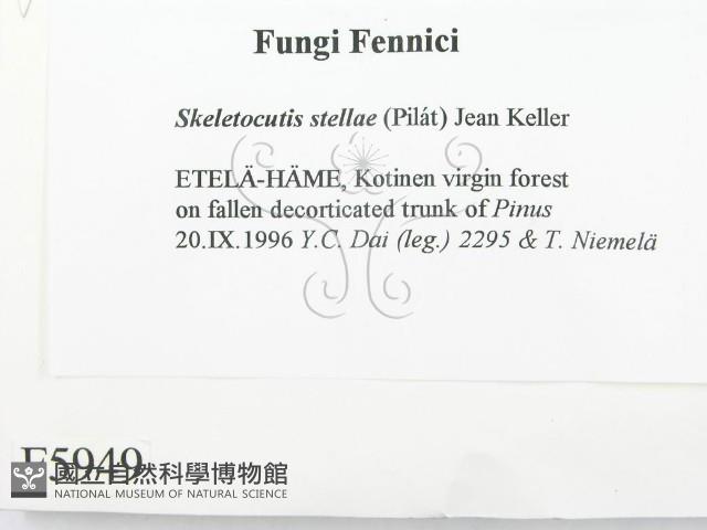 登錄號:F0005949藏品圖，第2張