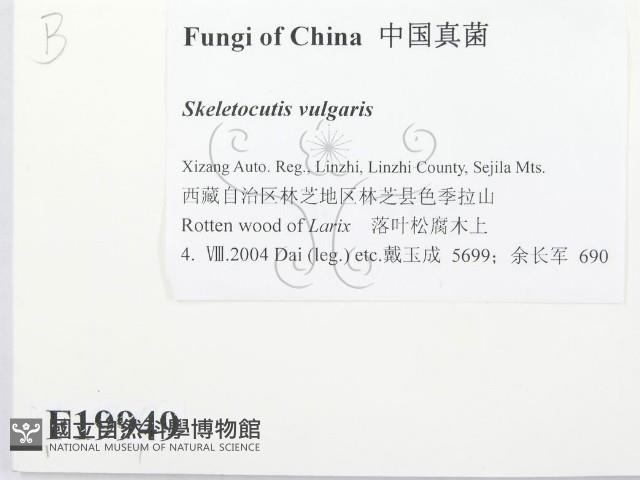 館號:F0019949藏品圖，第2張