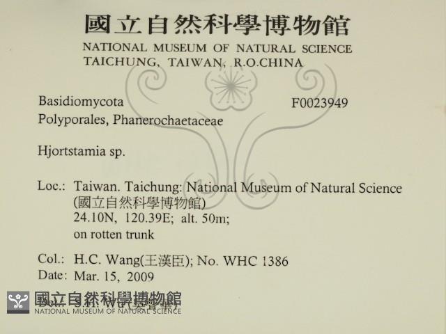 登錄號:F0023949藏品圖，第2張