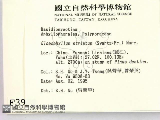 登錄號:F0003949藏品圖，第2張