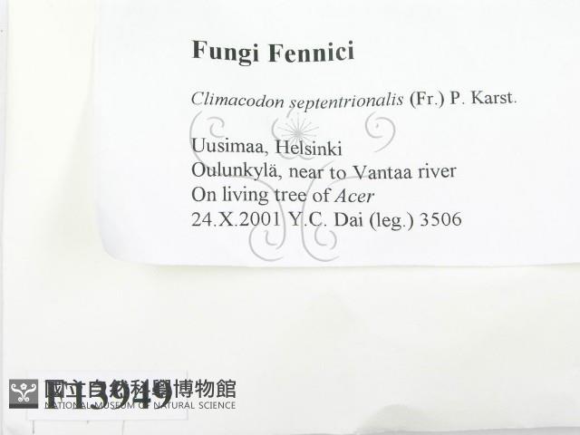 登錄號:F0013949藏品圖，第2張