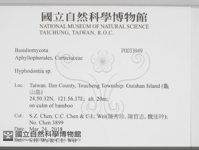 登錄號:F0033949藏品圖，第2張
