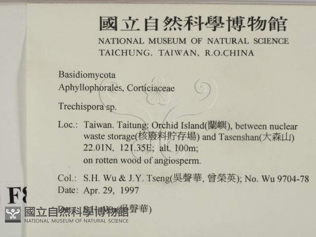 登錄號:F0008649藏品圖，第2張