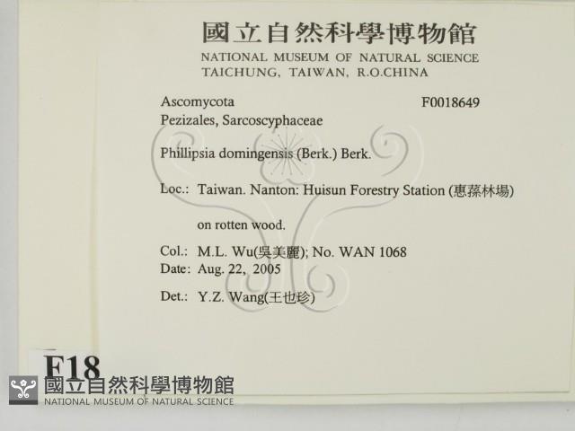 登錄號:F0018649藏品圖，第2張
