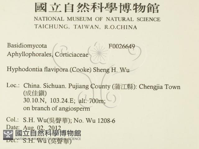 登錄號:F0026649藏品圖，第2張