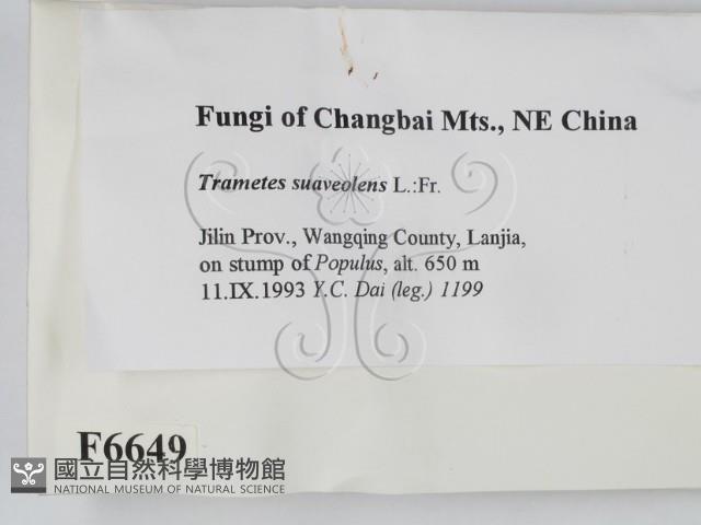 登錄號:F0006649藏品圖，第2張