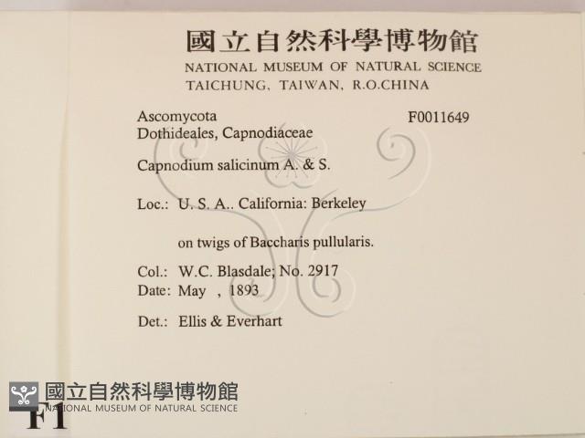 登錄號:F0011649藏品圖，第2張