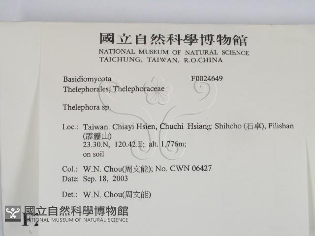 革菌屬藏品圖，第2張